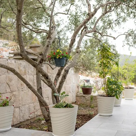 D. Maria With Sea View And Private Pool * Blato (Korcula)